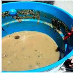 Oferecemos Higienização sofá em Cordeirópolis