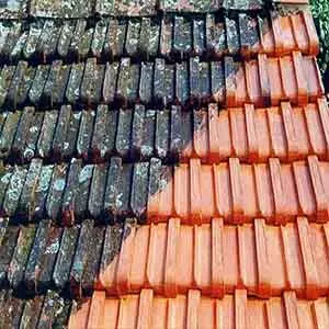 Áreas De Atuação da Higienização sofá em Cordeirópolis